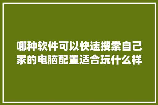 哪种软件可以快速搜索自己家的电脑配置适合玩什么样的游戏_电脑怎么看具体配置软件信息