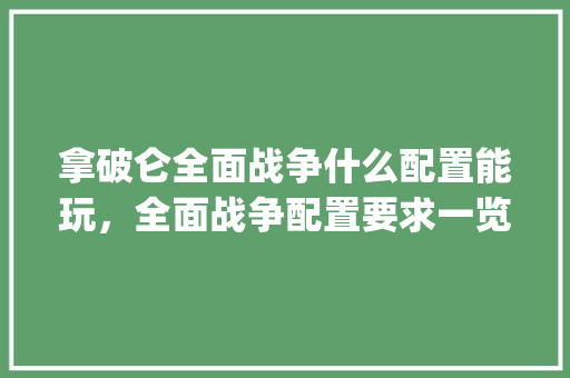 拿破仑全面战争什么配置能玩，全面战争配置要求一览_怎么看电脑全面配置信息