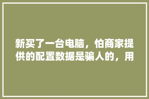 新买了一台电脑，怕商家提供的配置数据是骗人的，用鲁大师能准确检测出电脑硬件配置吗_怎么看电脑各部件配置参数