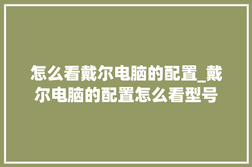 怎么看戴尔电脑的配置_戴尔电脑的配置怎么看型号 操作系统