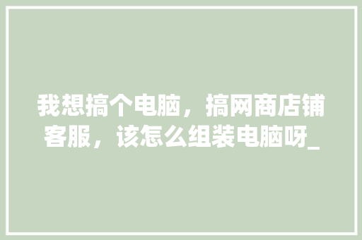 我想搞个电脑,搞网商店铺客服,该怎么组装电脑呀_店铺客服电脑配置怎么看 我想搞个电脑,搞网商店铺客服,该怎么组装电脑呀_店铺客服电脑配置怎么看