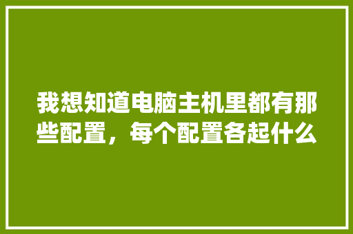 我想知道电脑主机里都有那些配置，每个配置各起什么作用_怎么看电脑配置功能是什么