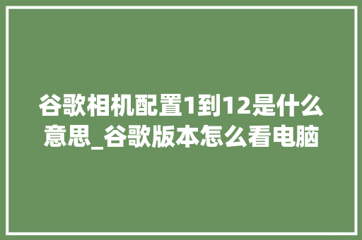 谷歌相机配置1到12是什么意思_谷歌版本怎么看电脑配置参数