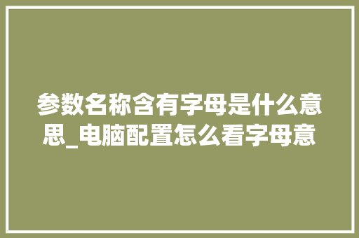 参数名称含有字母是什么意思_电脑配置怎么看字母意思啊
