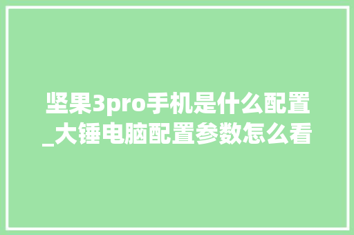 坚果3pro手机是什么配置_大锤电脑配置参数怎么看的