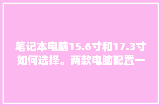 笔记本电脑15.6寸和17.3寸如何选择。两款电脑配置一样，17.3寸的贵200，都是双风扇散热_怎么看电脑散热配置参数