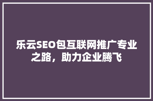 乐云SEO包互联网推广专业之路，助力企业腾飞