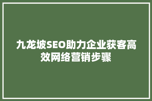 九龙坡SEO助力企业获客高效网络营销步骤 九龙坡SEO助力企业获客高效网络营销步骤