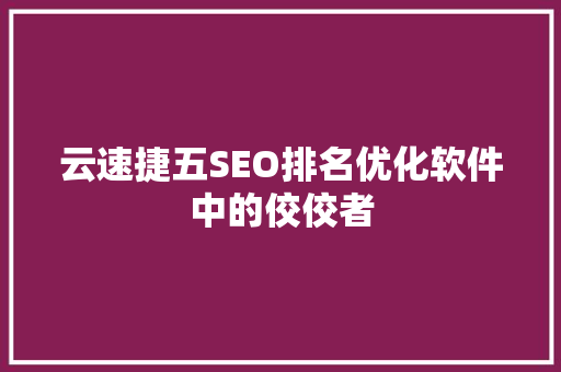 云速捷五SEO排名优化软件中的佼佼者