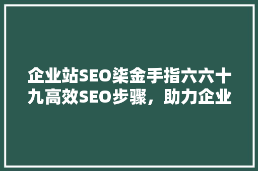 企业站SEO柒金手指六六十九高效SEO步骤，助力企业网站优化之路