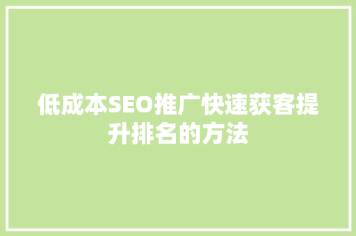 低成本SEO推广快速获客提升排名的方法