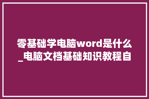 零基础学电脑word是什么_电脑文档基础知识教程自学