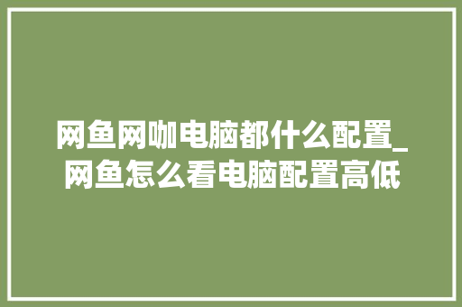 网鱼网咖电脑都什么配置_网鱼怎么看电脑配置高低