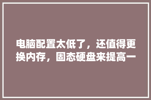 电脑配置太低了,还值得更换内存,固态硬盘来提高一下打开表格和、软件、网页的速度么_电脑怎么看配置硬盘信息 电脑配置太低了,还值得更换内存,固态硬盘来提高一下打开表格和、软件、网页的速度么_电脑怎么看配置硬盘信息