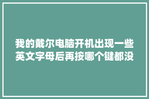 我的戴尔电脑开机出现一些英文字母后再按哪个键都没有反应是怎么回_英文电脑基础知识大全图片