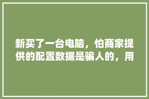 新买了一台电脑，怕商家提供的配置数据是骗人的，用鲁大师能准确检测出电脑硬件配置吗_电脑配置精确怎么看出来