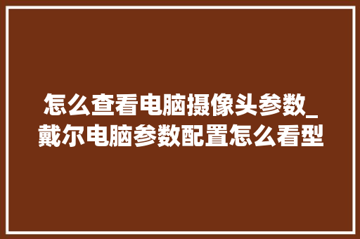 怎么查看电脑摄像头参数_戴尔电脑参数配置怎么看型号