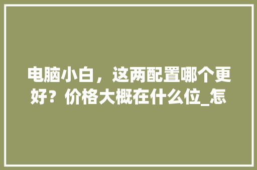 电脑小白，这两配置哪个更好？价格大概在什么位_怎样查看电脑配置的详细数据