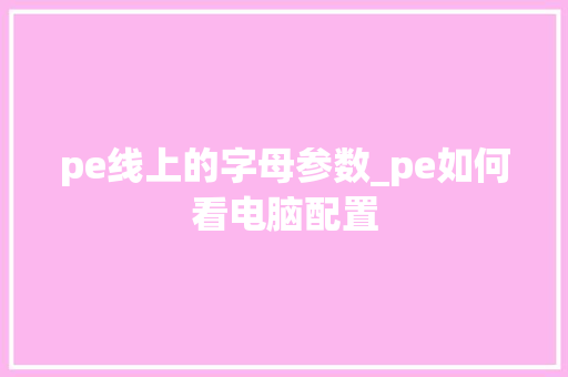 pe线上的字母参数_pe如何看电脑配置