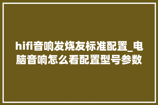 hifi音响发烧友标准配置_电脑音响怎么看配置型号参数