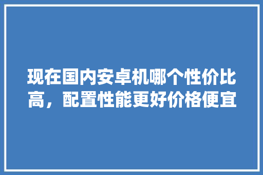 现在国内安卓机哪个性价比高，配置性能更好价格便宜，更人性化_怎么看电脑国产配置高低啊