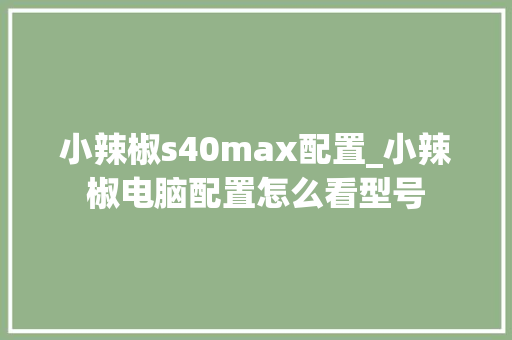 小辣椒s40max配置_小辣椒电脑配置怎么看型号