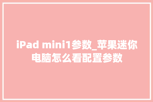 iPad mini1参数_苹果迷你电脑怎么看配置参数