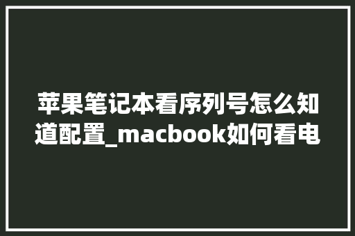 苹果笔记本看序列号怎么知道配置_macbook如何看电脑配置