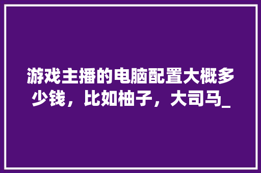 游戏主播的电脑配置大概多少钱，比如柚子，大司马_大司马怎么看电脑配置
