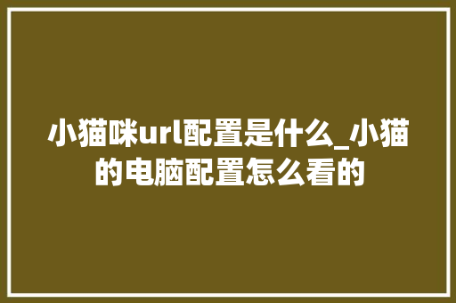 小猫咪url配置是什么_小猫的电脑配置怎么看的