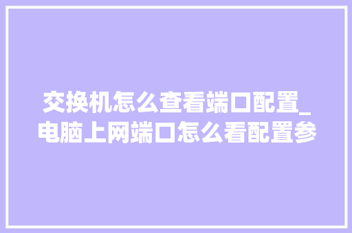 交换机怎么查看端口配置_电脑上网端口怎么看配置参数