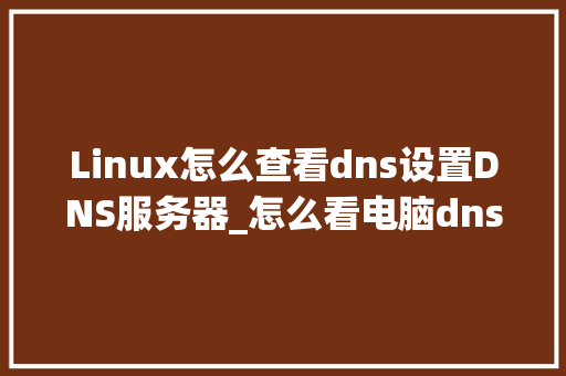 Linux怎么查看dns设置DNS服务器_怎么看电脑dns配置高低