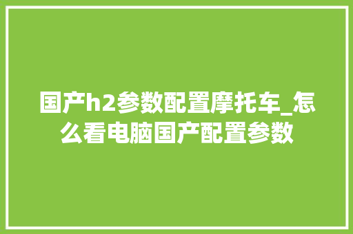 国产h2参数配置摩托车_怎么看电脑国产配置参数