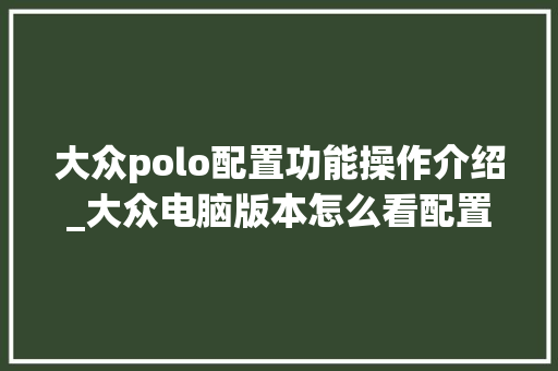 大众polo配置功能操作介绍_大众电脑版本怎么看配置参数
