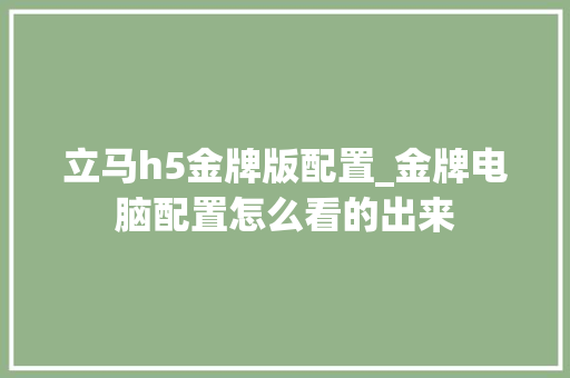 立马h5金牌版配置_金牌电脑配置怎么看的出来 编程语言