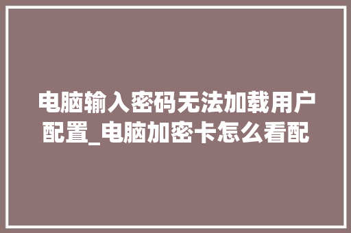 电脑输入密码无法加载用户配置_电脑加密卡怎么看配置参数