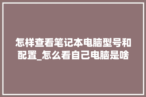 怎样查看笔记本电脑型号和配置_怎么看自己电脑是啥配置的