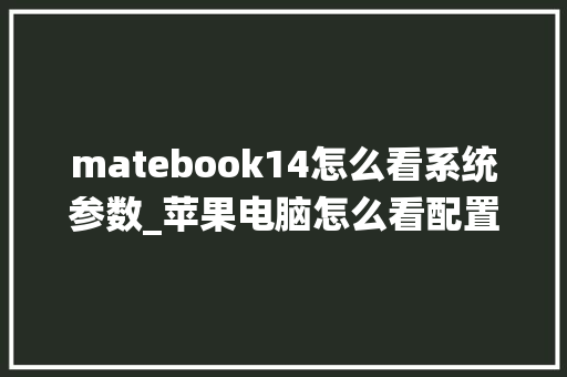 matebook14怎么看系统参数_苹果电脑怎么看配置参数图片