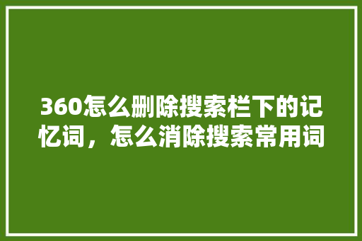 360怎么删除搜索栏下的记忆词，怎么消除搜索常用词 网络技术