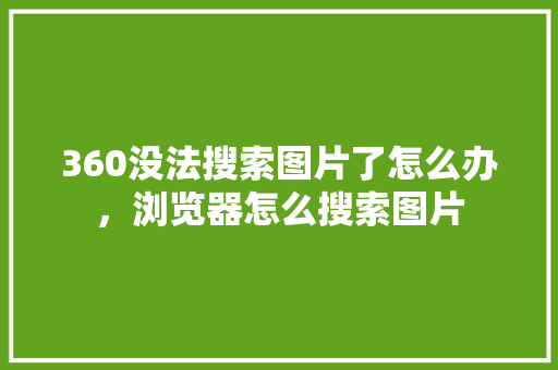 360没法搜索图片了怎么办，浏览器怎么搜索图片
