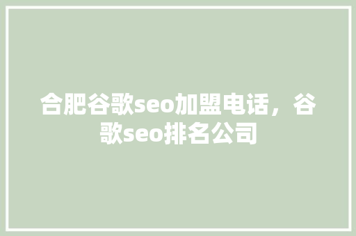 合肥谷歌seo加盟电话，谷歌seo排名公司