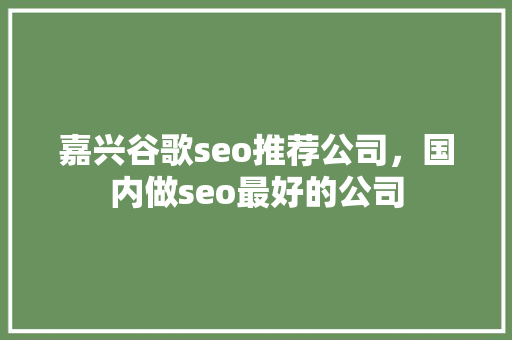 嘉兴谷歌seo推荐公司，国内做seo最好的公司