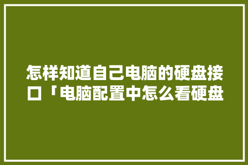 怎样知道自己电脑的硬盘接口「电脑配置中怎么看硬盘信息」 怎样知道自己电脑的硬盘接口「电脑配置中怎么看硬盘信息」 电脑配置