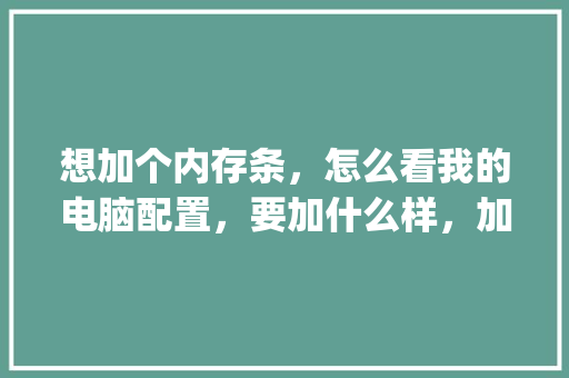 想加个内存条，怎么看我的电脑配置，要加什么样，加多大的_电脑配置内存怎么看多大