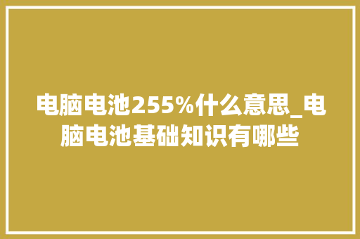 电脑电池255%什么意思_电脑电池基础知识有哪些