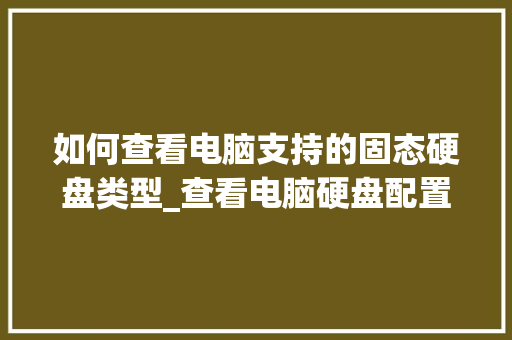 如何查看电脑支持的固态硬盘类型_查看电脑硬盘配置怎么看的