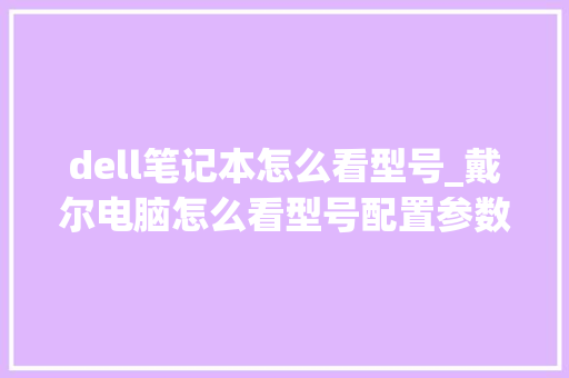 dell笔记本怎么看型号_戴尔电脑怎么看型号配置参数