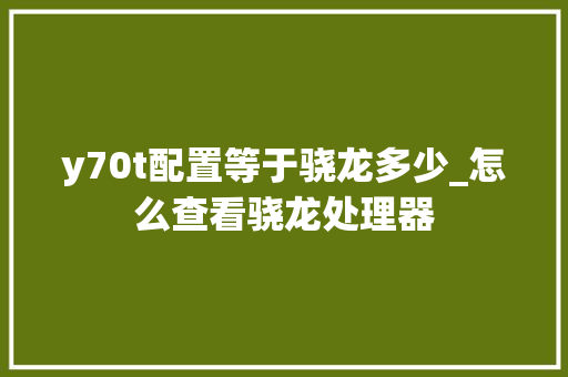 y70t配置等于骁龙多少_怎么查看骁龙处理器