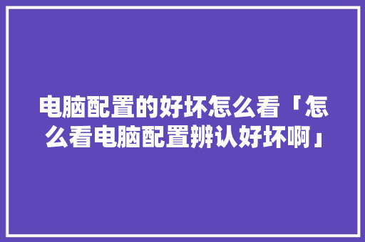 电脑配置的好坏怎么看「怎么看电脑配置辨认好坏啊」 电脑配置的好坏怎么看「怎么看电脑配置辨认好坏啊」 编程语言