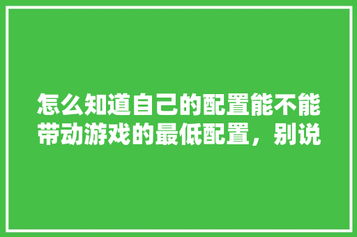 怎么知道自己的配置能不能带动游戏的最低配置，别说看，我看不懂，有没有更简单的「现在电脑配置怎么看」 怎么知道自己的配置能不能带动游戏的最低配置，别说看，我看不懂，有没有更简单的「现在电脑配置怎么看」 编程语言